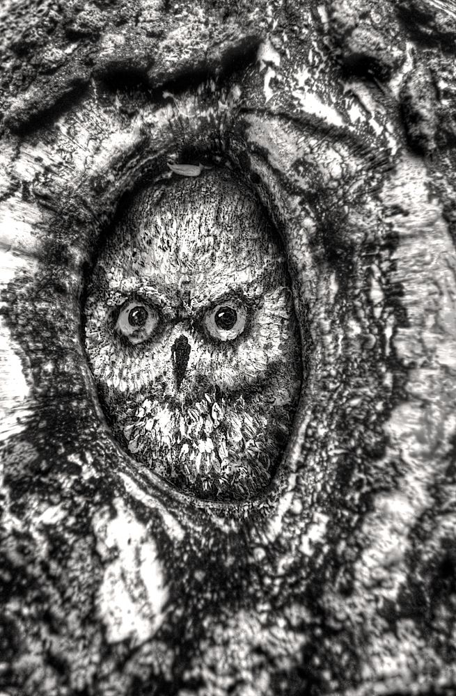 Photograph by Сергей Григорьев