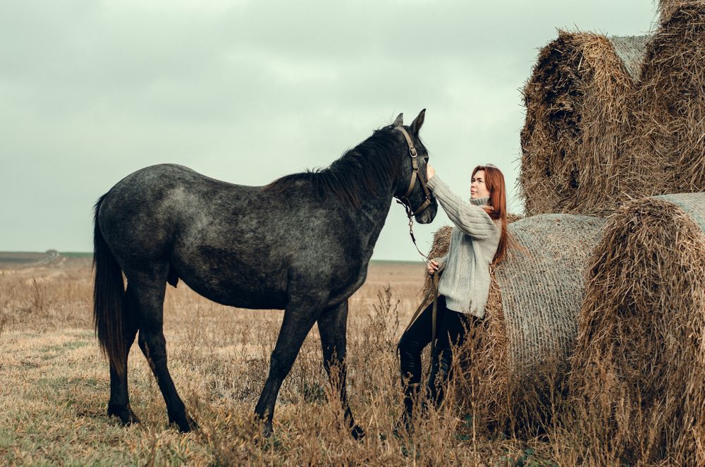 Photograph by Татьяна Беганская