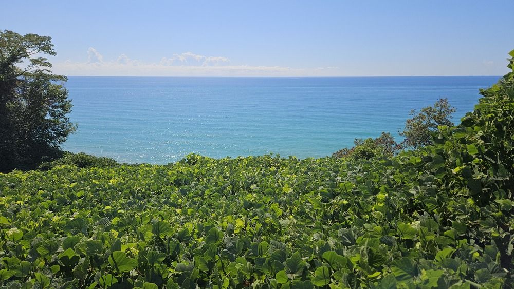 Photograph by Валерия Сопова