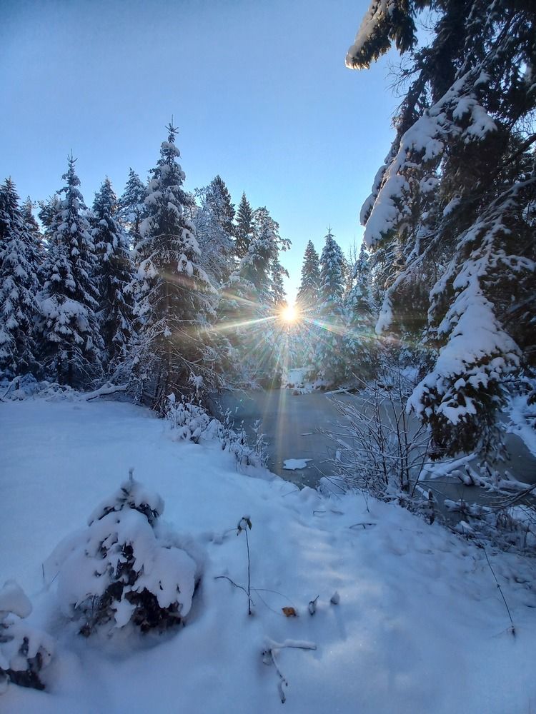 Photograph by Светлана Капитонова