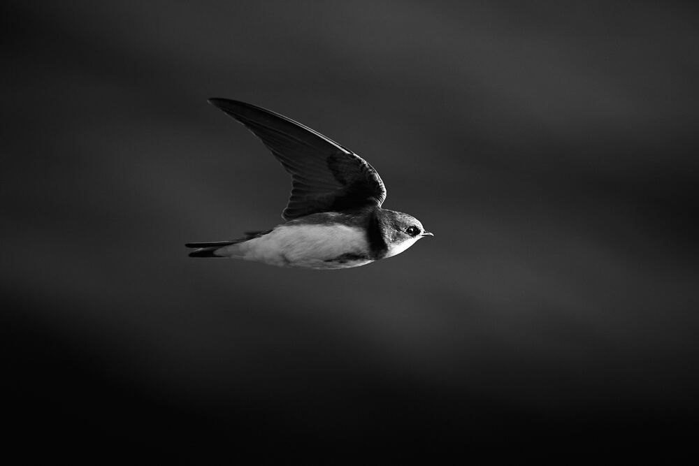 Photograph by Mikhail Khmelevskiy