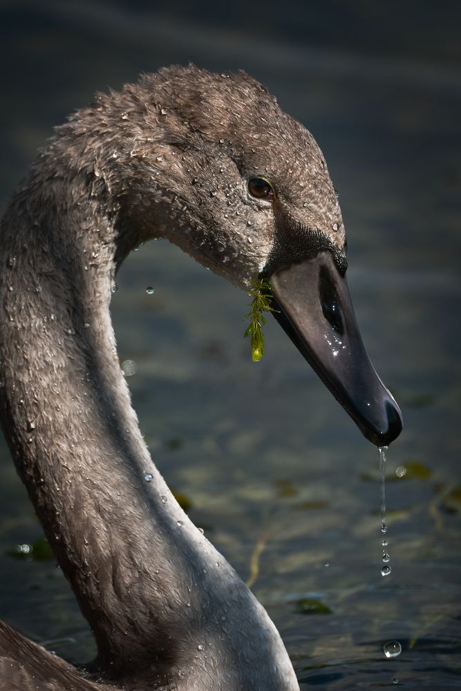 Photograph by Соварцева Ксения