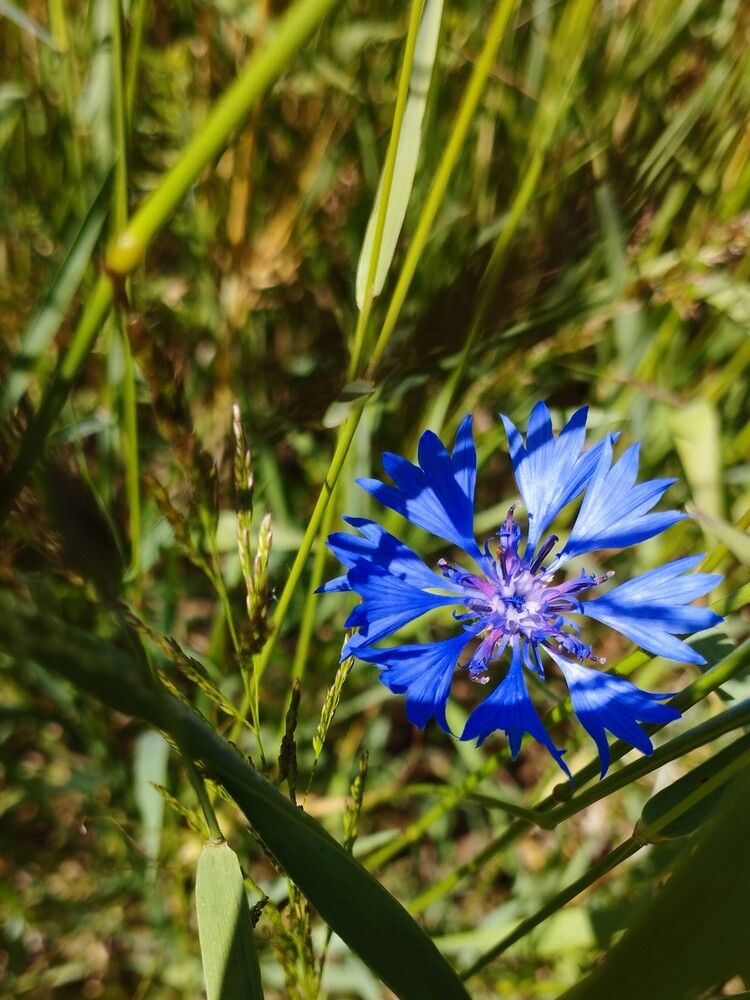 Photograph by Ия Дирко