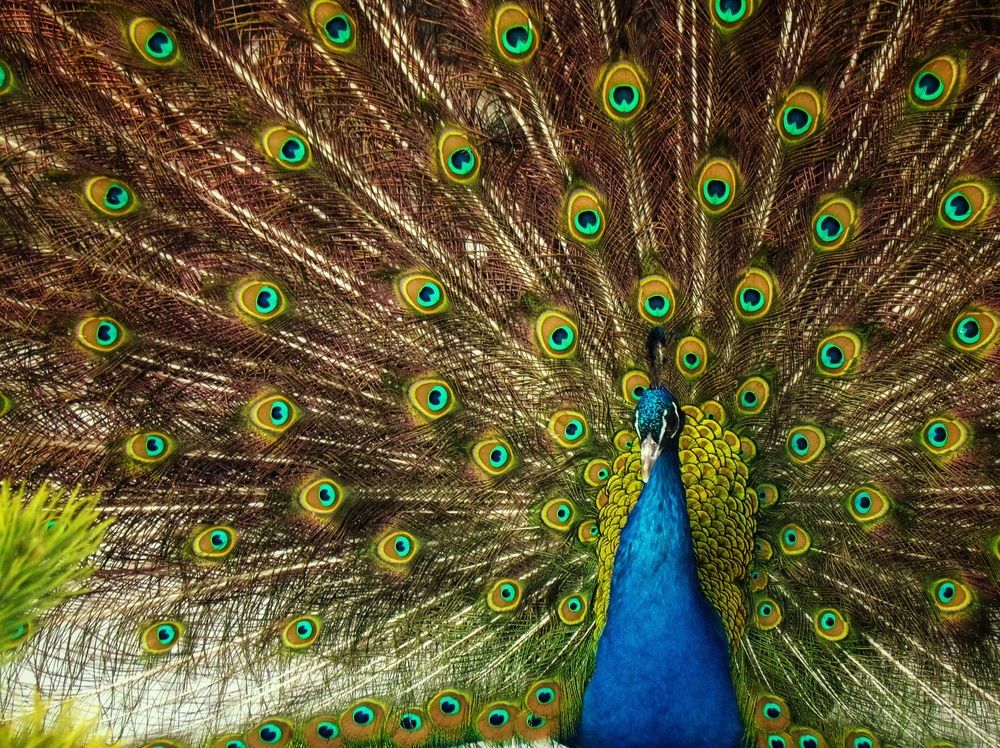 Фотография автора Tatyana Markova