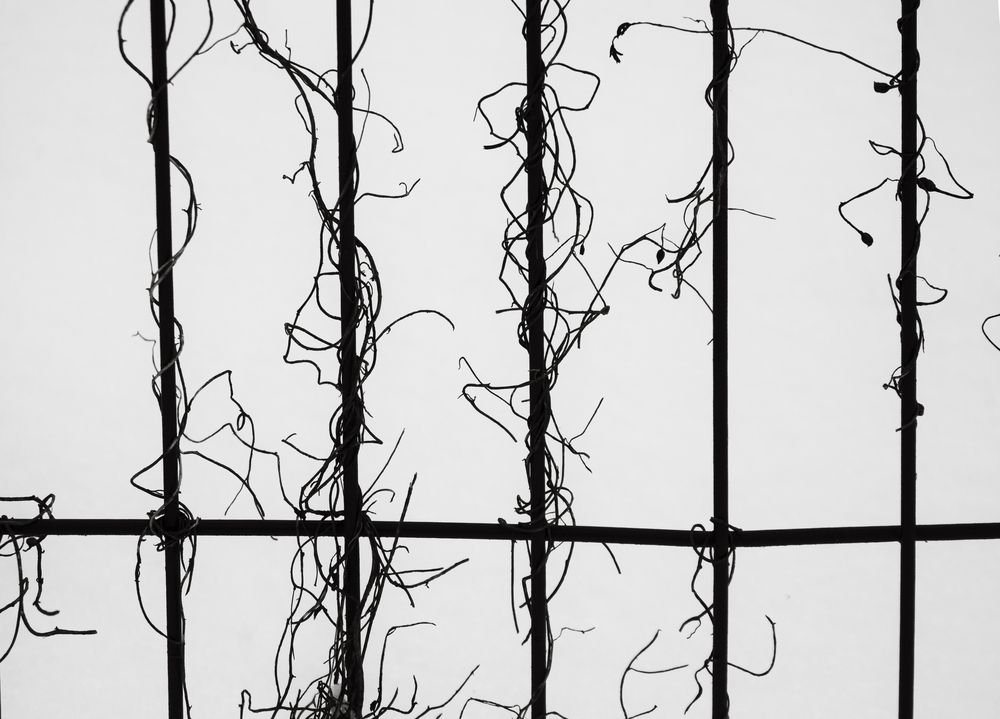 Photograph by Szilvia Farkas