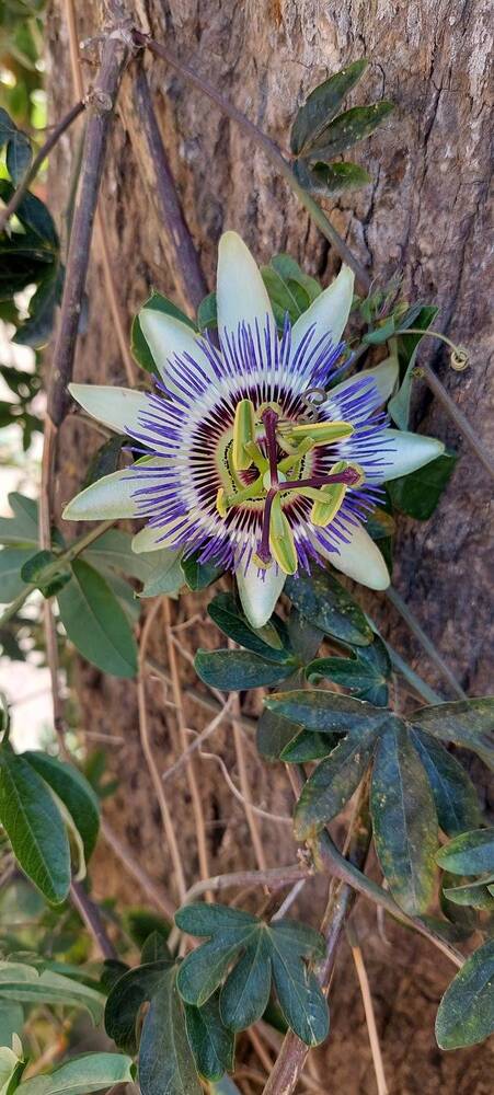 Photograph by Sedef Onum