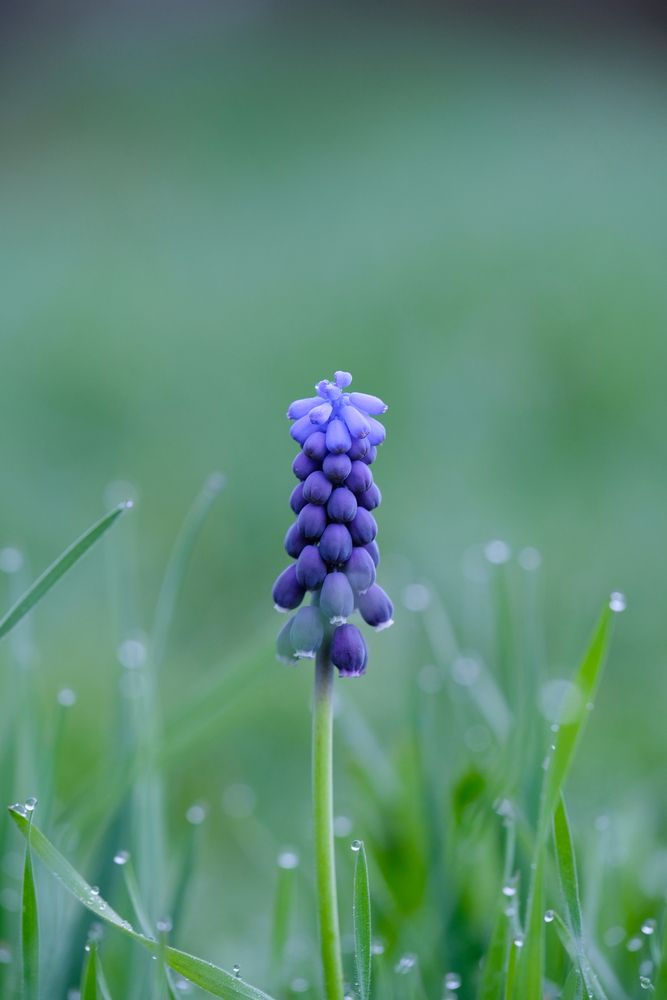 Фотография автора Васильев Роман