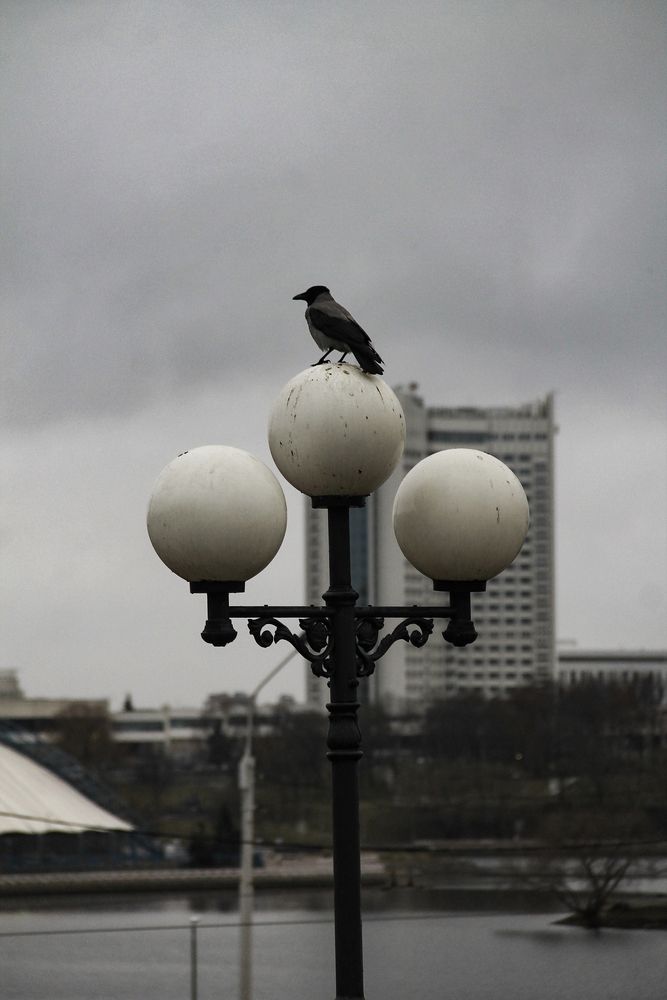 Photograph by Анастасия Псарёва