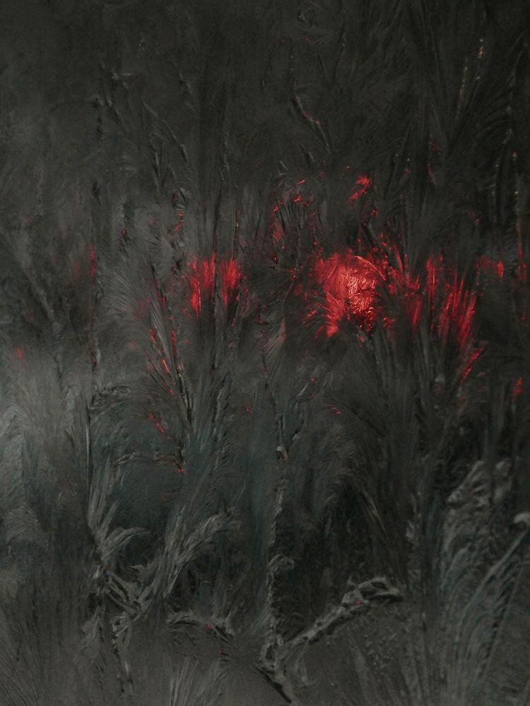 Photograph by Анастасия Псарёва