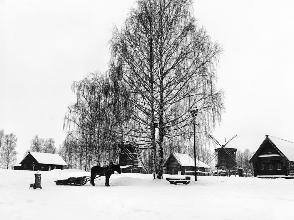 Photograph by OLGA MIKHNEVICH