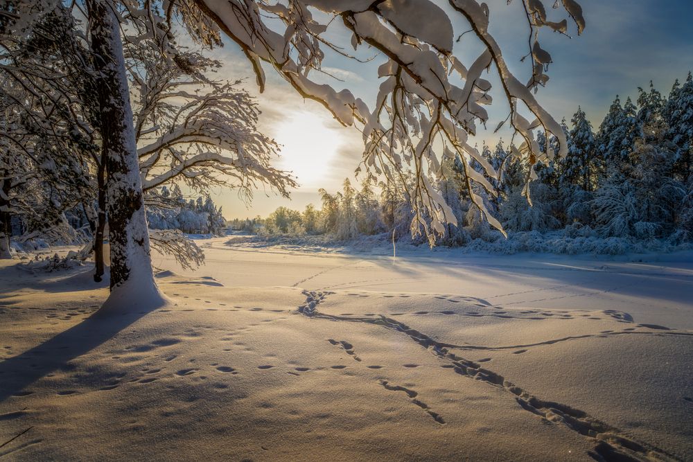Photograph by Дмитрий Черепков