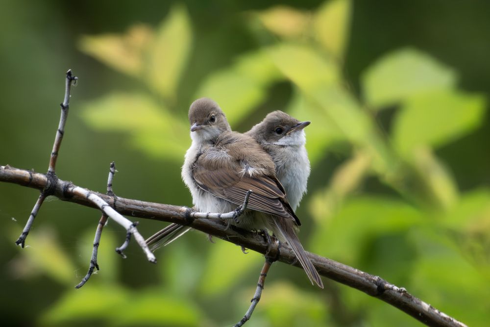 Photograph by Владимир Зайцев