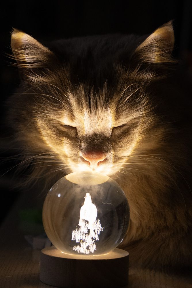 Photograph by Александр Новиков