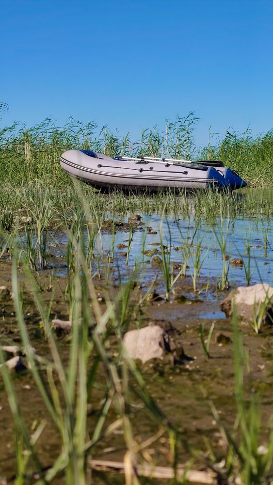 Фотография автора Анастасия Мамаева