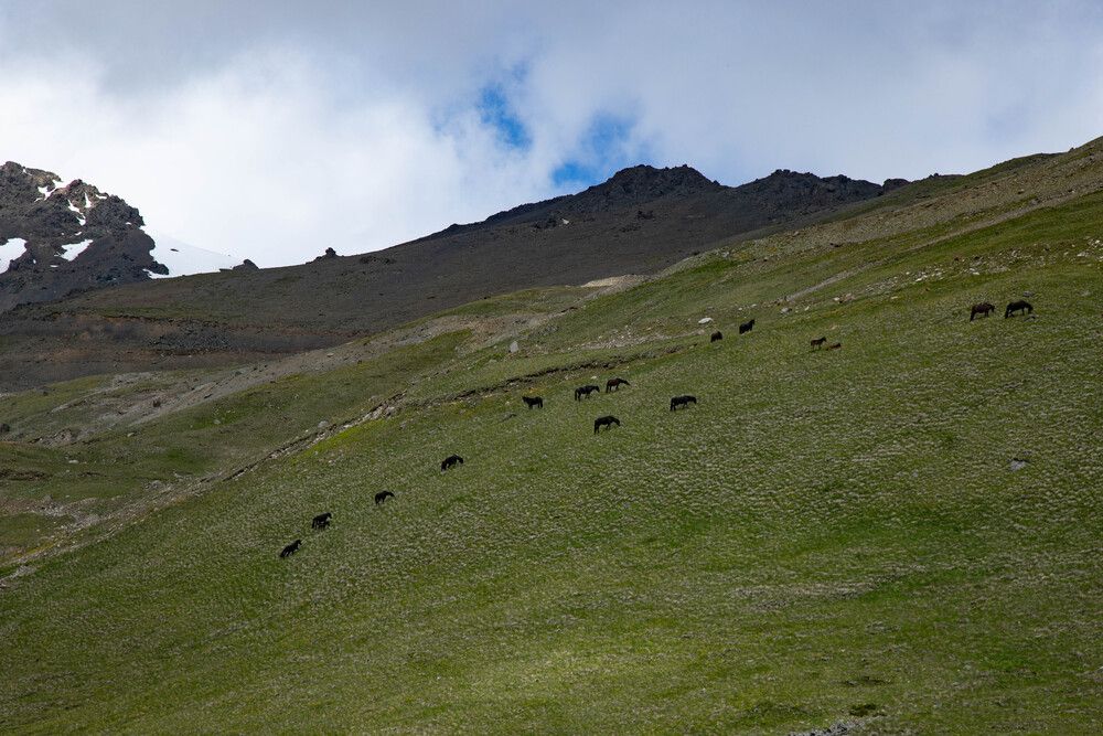 Photograph by Екатерина Ненахова