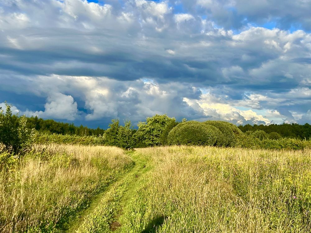 Photograph by Сюзанна