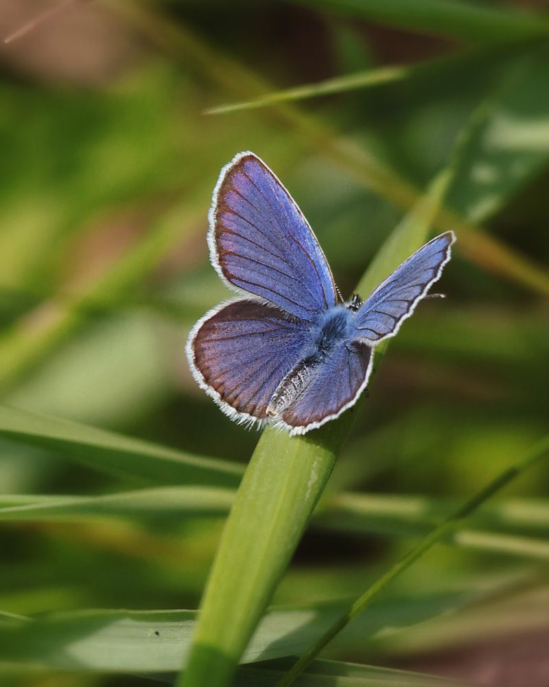 Photograph by Дмитрий Маккеев