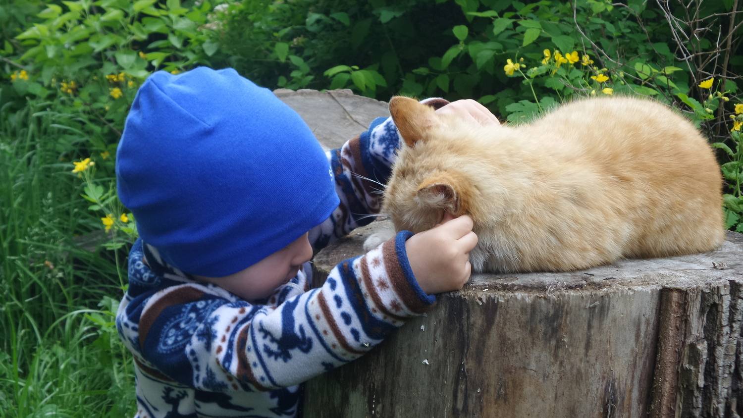 Photo #13185410