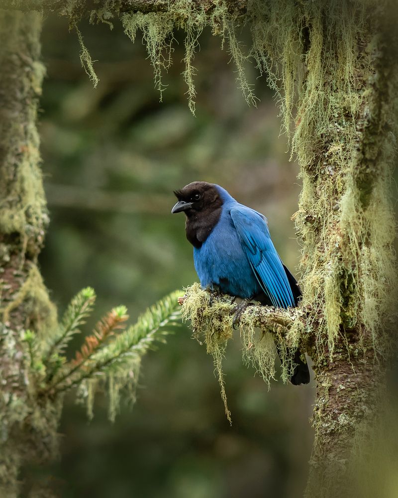 Photograph by Valdir Hobus