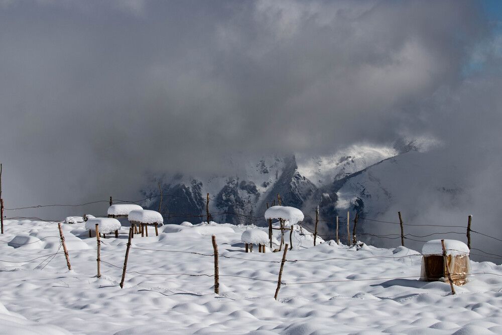 Photograph by Екатерина Ненахова