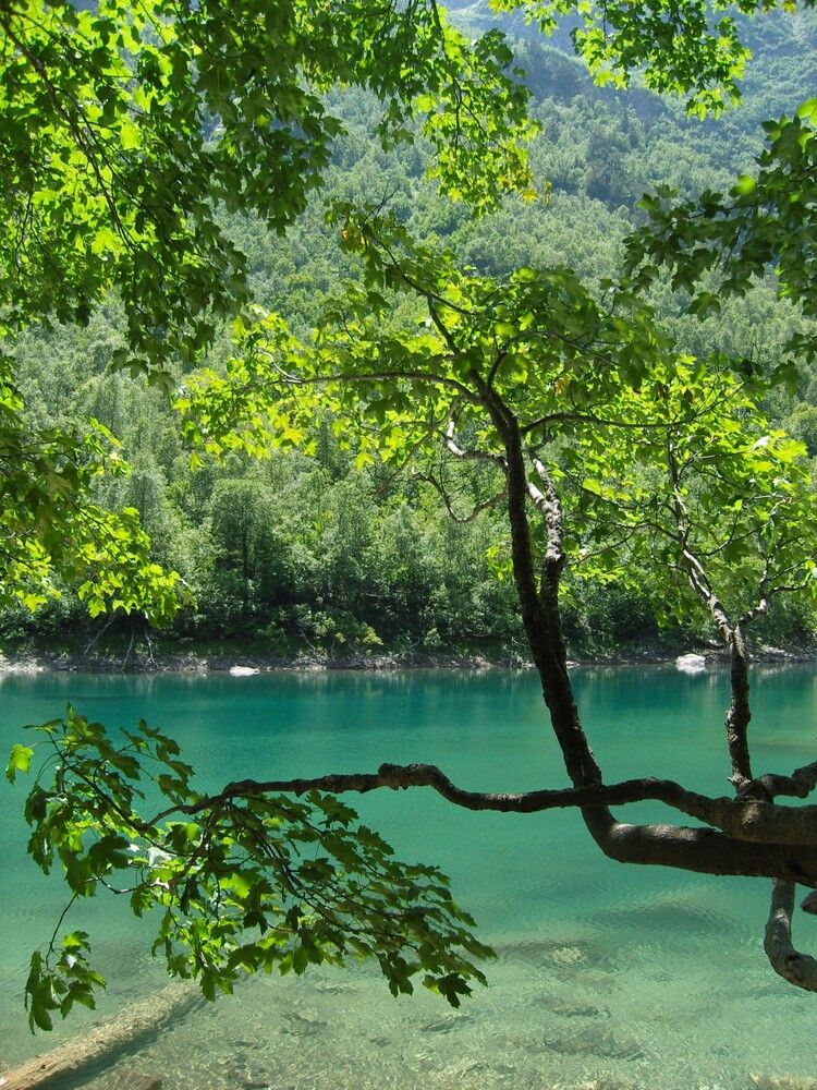 Фотография автора Юрий Рудый