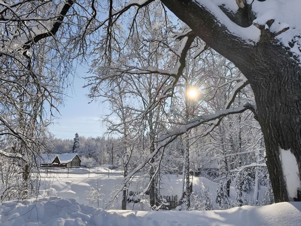 Photograph by Татьяна Пятернёва