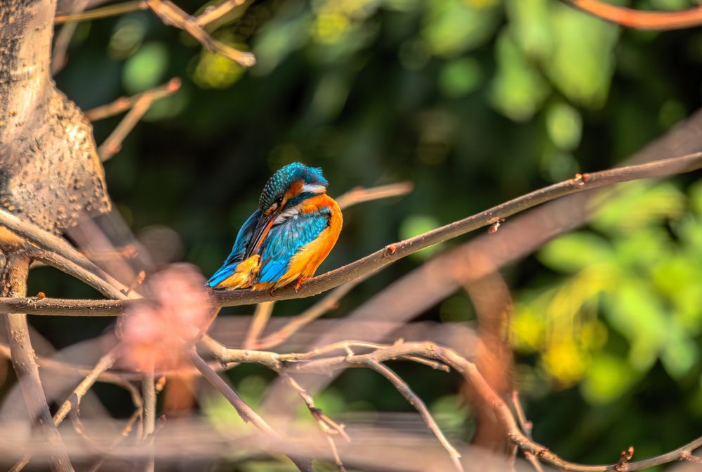 Photograph by Mahdi Reihani Bozorg