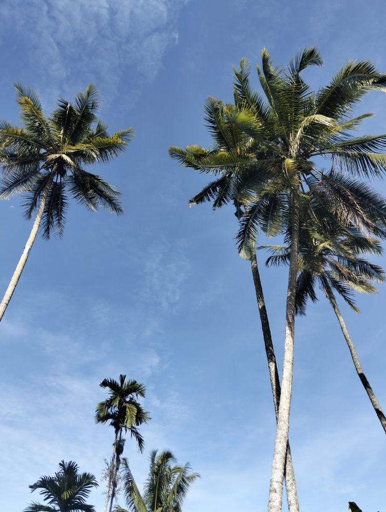 Фотография автора Adal Adams Adal