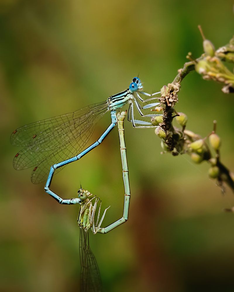 Photograph by Дмитрий Маккеев
