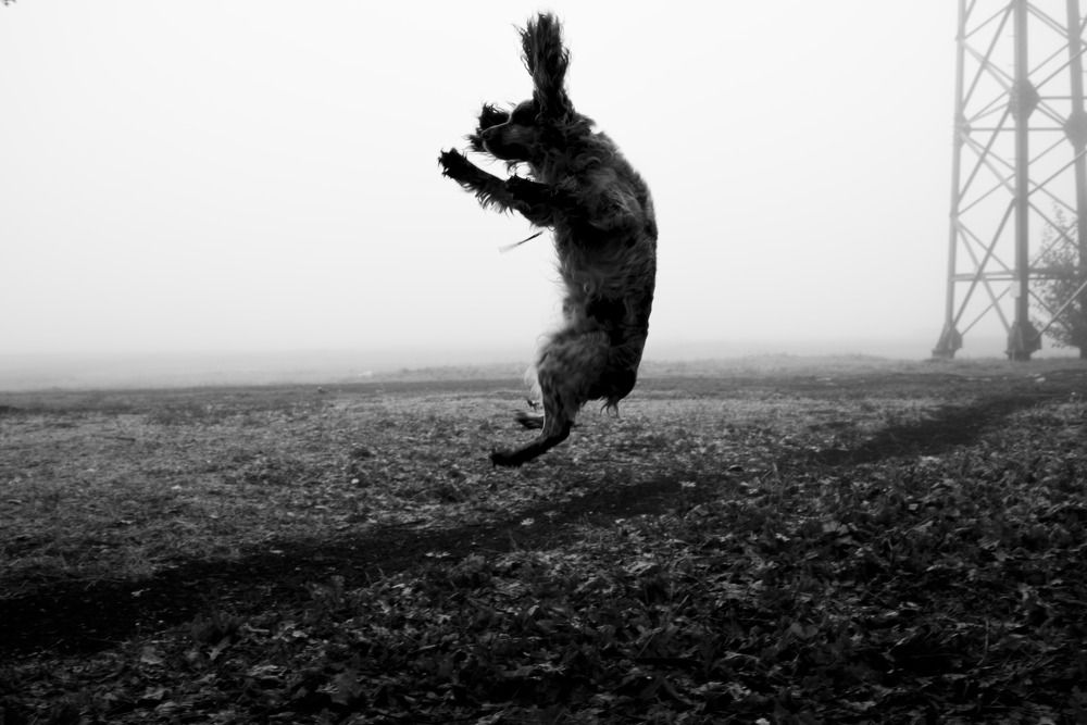 Photograph by Роман Садовский