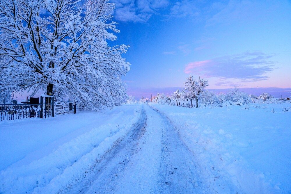 Фотография автора Борунов Константин