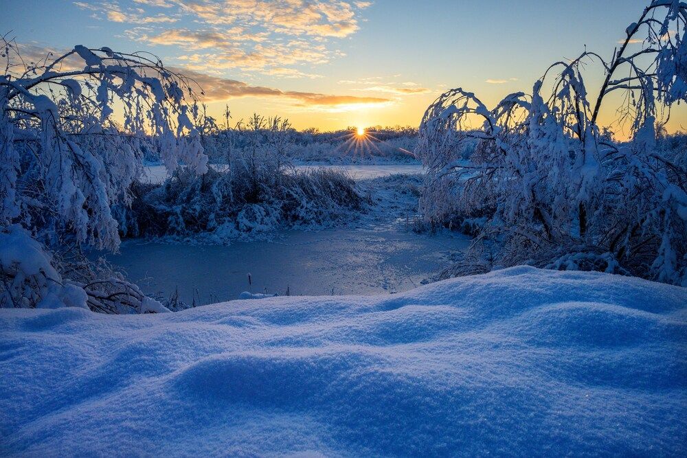 Фотография автора Борунов Константин