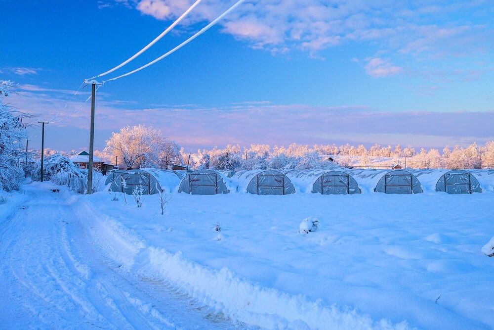 Фотография автора Борунов Константин