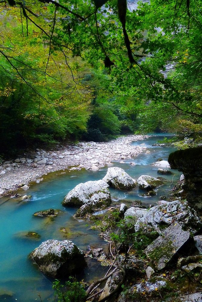 Photograph by Elvira Oleinik