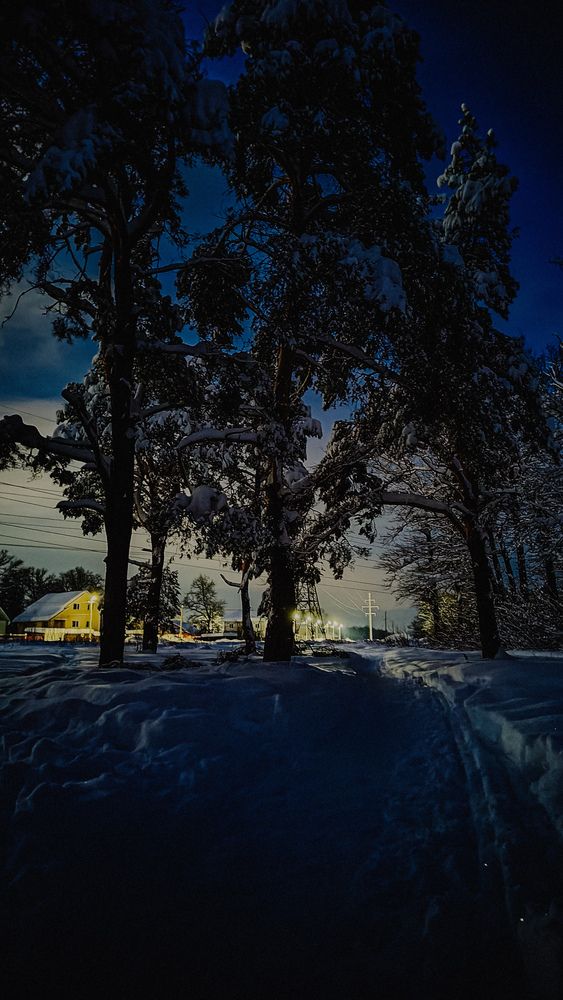 Photograph by Людмила Горячева