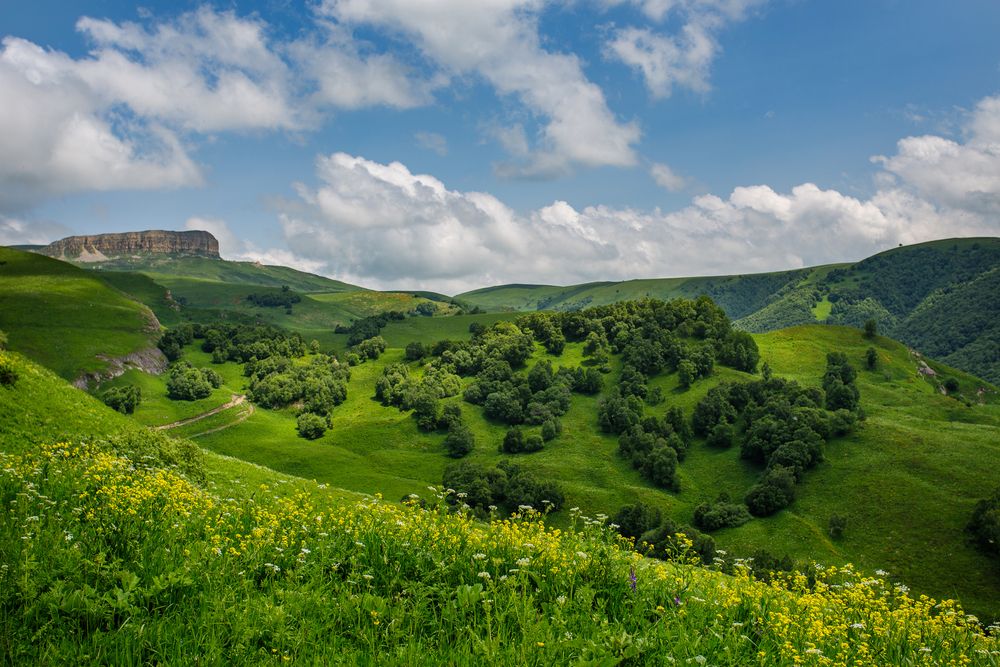 Photograph by Елена Васильева