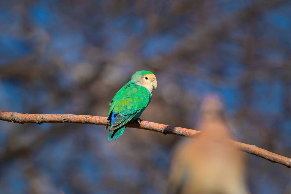 Photograph by Mahdi Reihani Bozorg