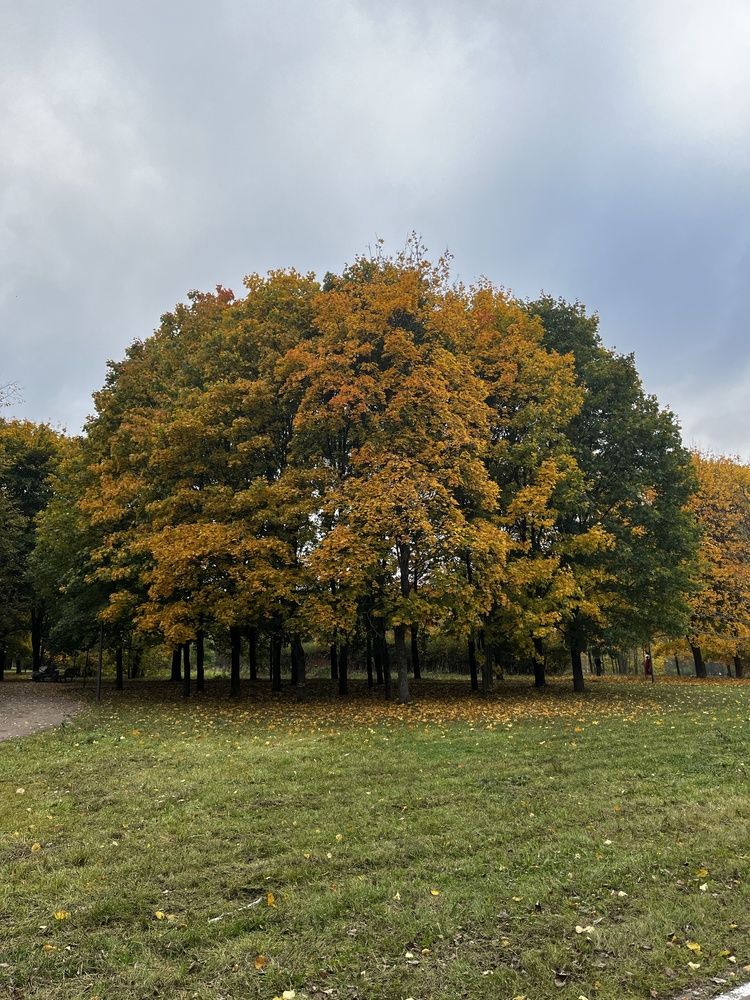 Photograph by Бравичева Анастасия