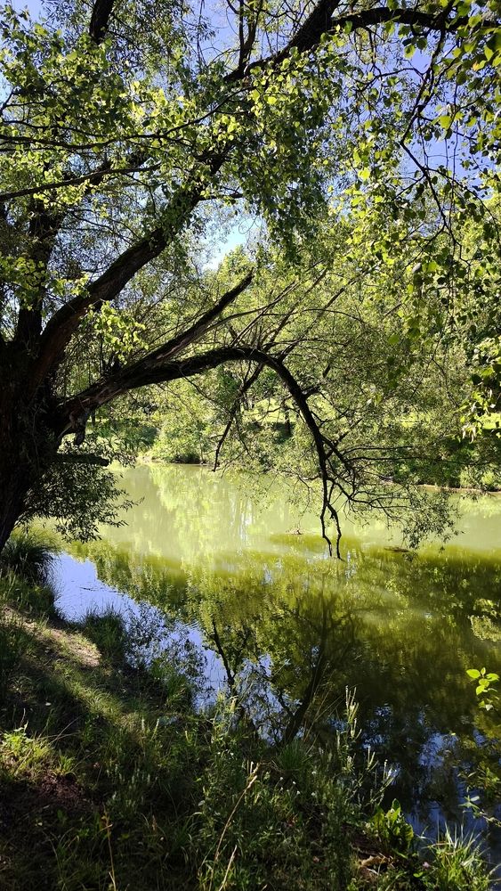 Photograph by Eugenia Blinova