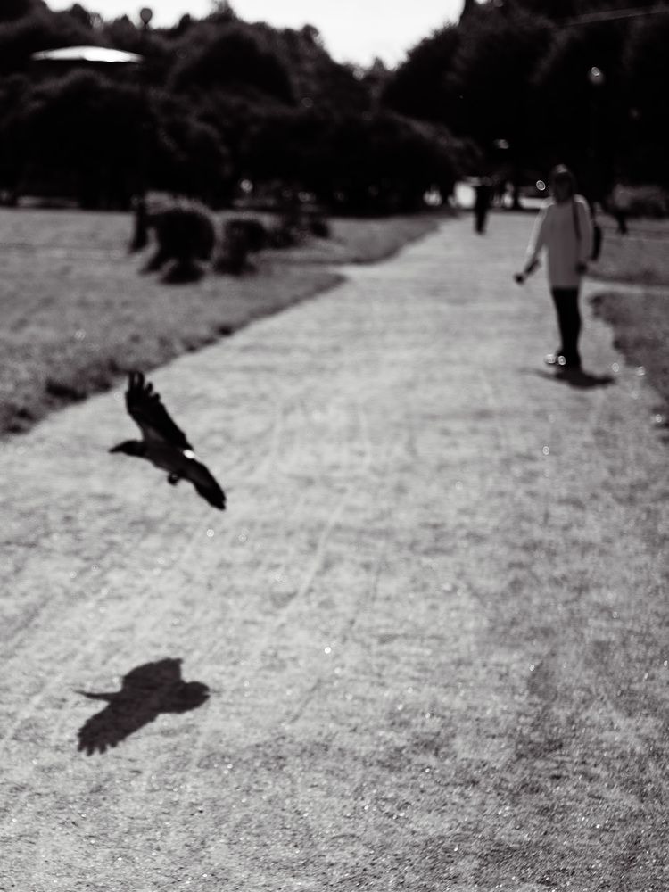 Photograph by Александр Соловьев