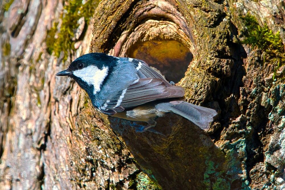 Photograph by Janis Serdienis