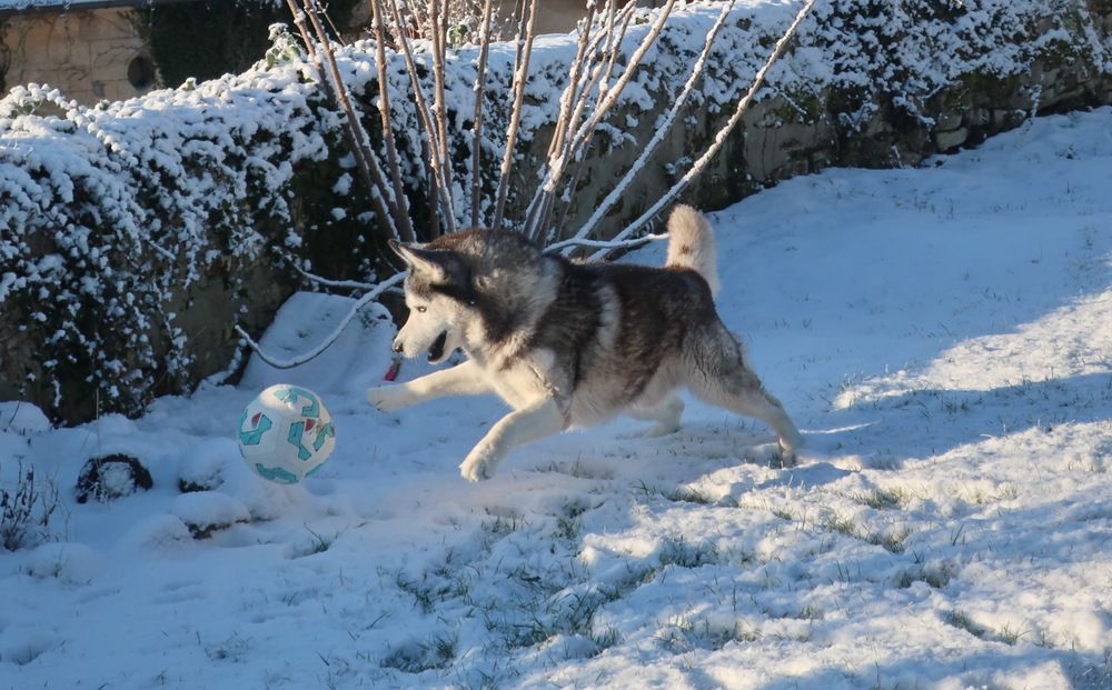 Photograph by Regina Belomytseva-Dahan