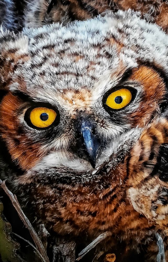 Photograph by Наталия Колесникова