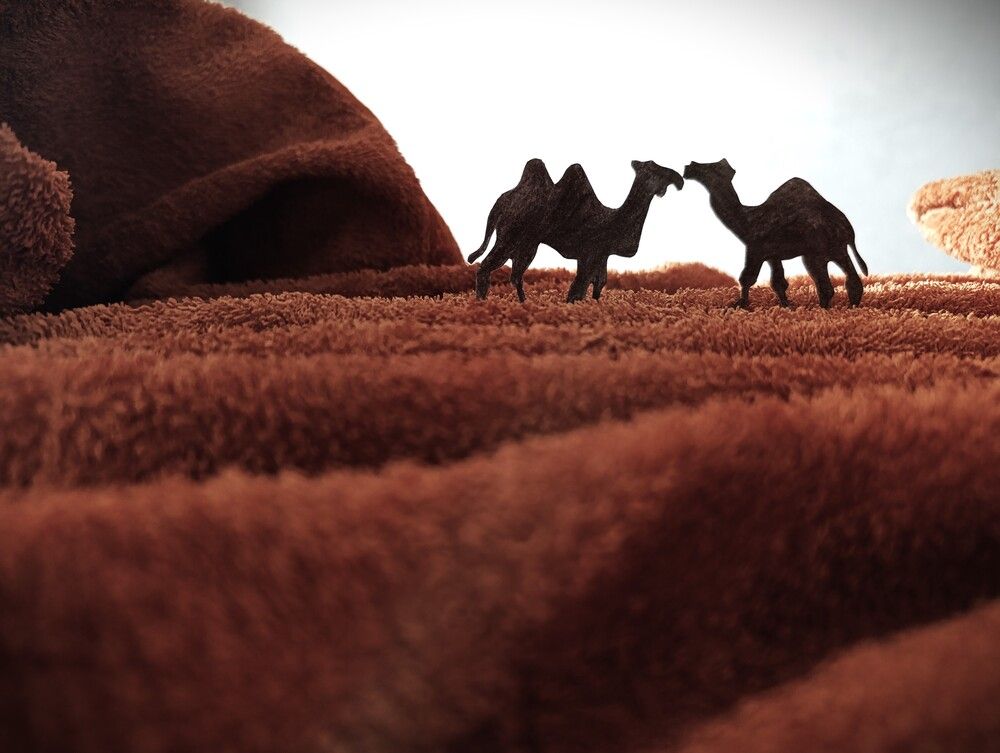 Photograph by Алена Марченко