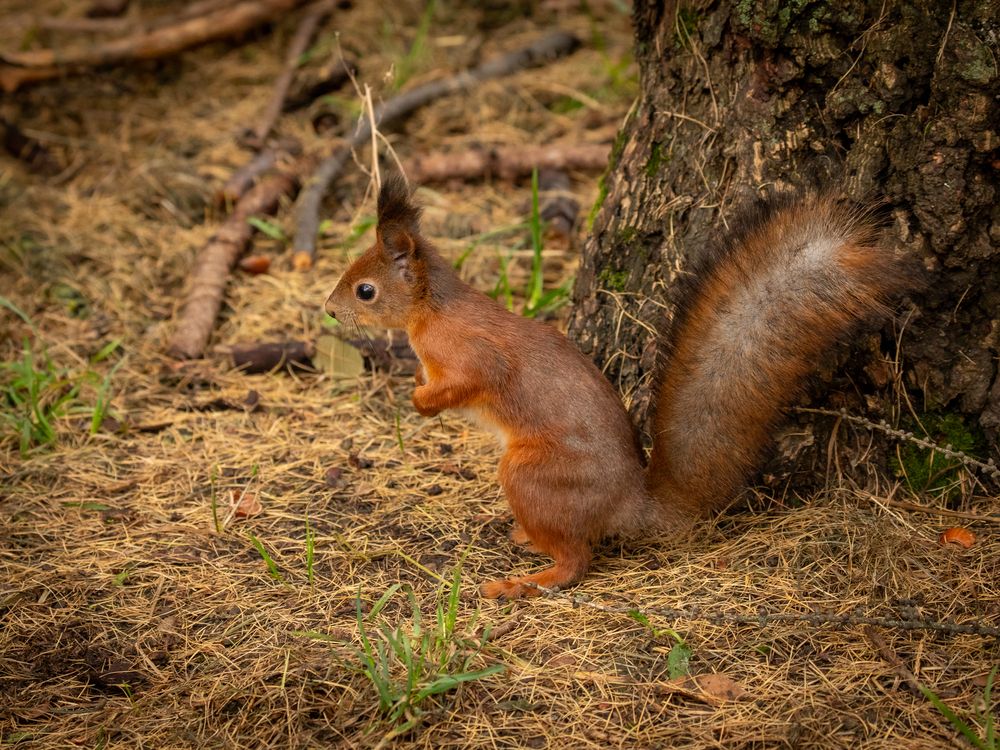 Photograph by Бравичева Анастасия