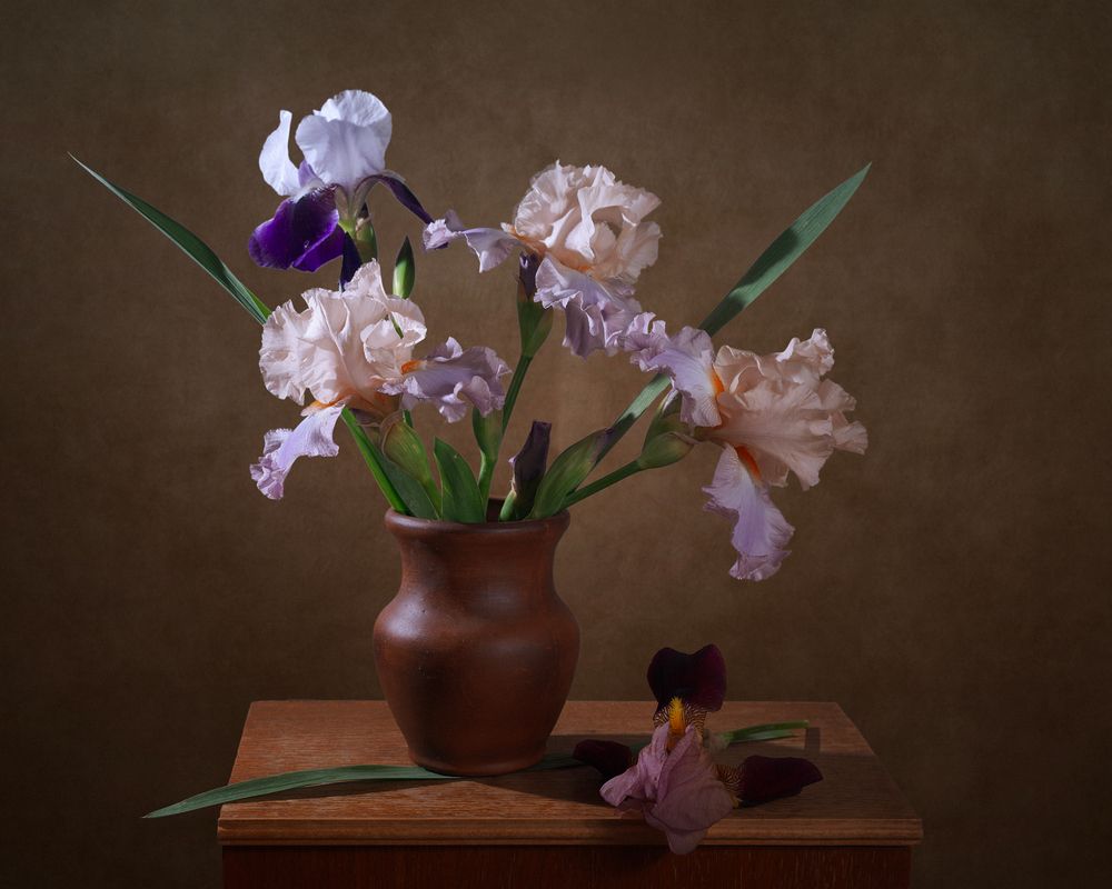 Photograph by Анжелика Королева