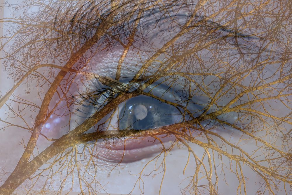 Photograph by Дарья Гусева