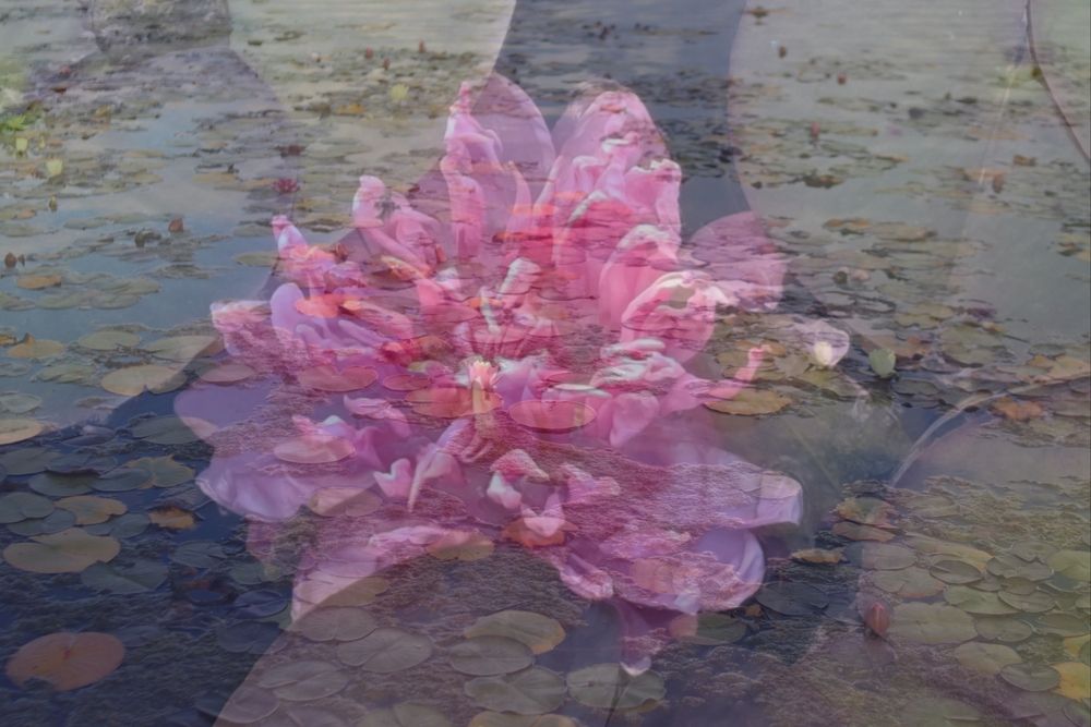 Photograph by Алена Марченко