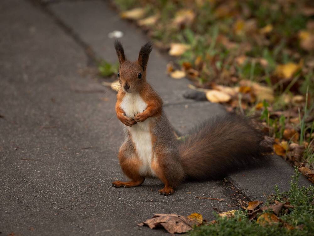 Photograph by Бравичева Анастасия