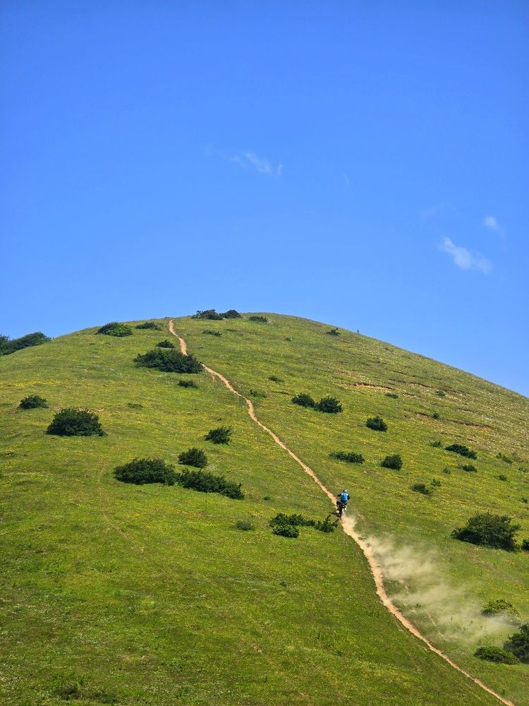 Photograph by Masoumeh Rahimi